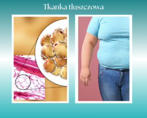 Tkanka tłuszczowa Tkanka tłuszczowa